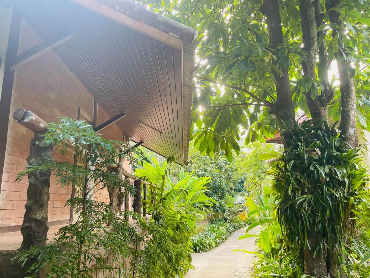 Khaosok Monkeys & River Camps Khao Sok National Park ภายนอก รูปภาพ