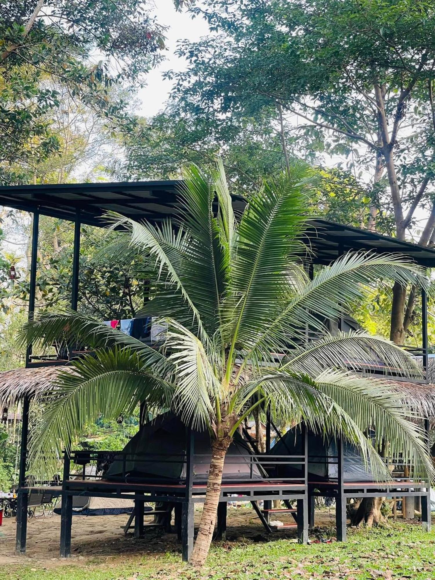 Khaosok Monkeys & River Camps Khao Sok National Park ภายนอก รูปภาพ